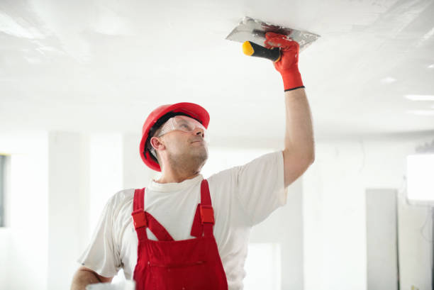 Best Drywall Removal and Disposal  in Louisville, GA