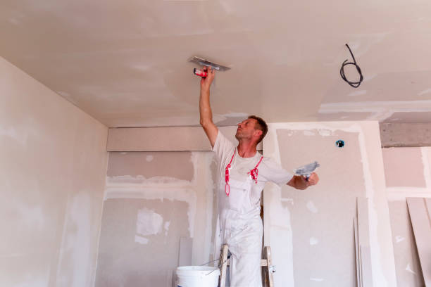 Best Remodeling Drywall  in Louisville, GA