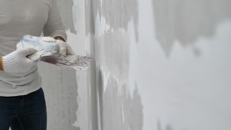 Best Wallpaper Removal and Painting  in Louisville, GA